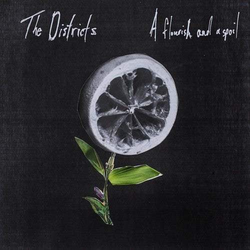 The Districts - A Flourish and a Spoil (New CD) - Mad World Records