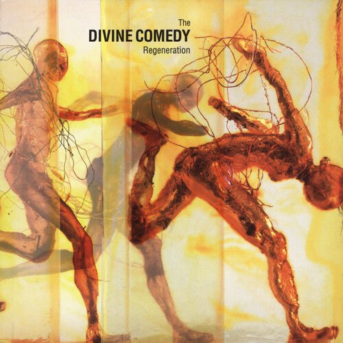 The Divine Comedy - Regeneration (New Vinyl LP) - Mad World Records