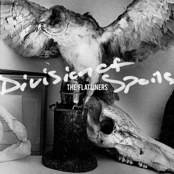 The Flatliners - Division of Spoils (New CD) - Mad World Records