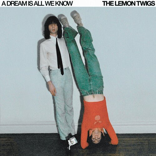 The Lemon Twigs - A Dream Is All We Know (New CD) - Mad World Records