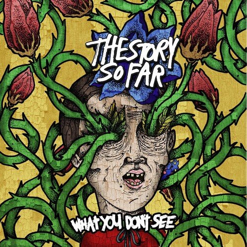 The Story So Far - What You Don't See [Colored Vinyl] (New Vinyl LP) - Mad World Records