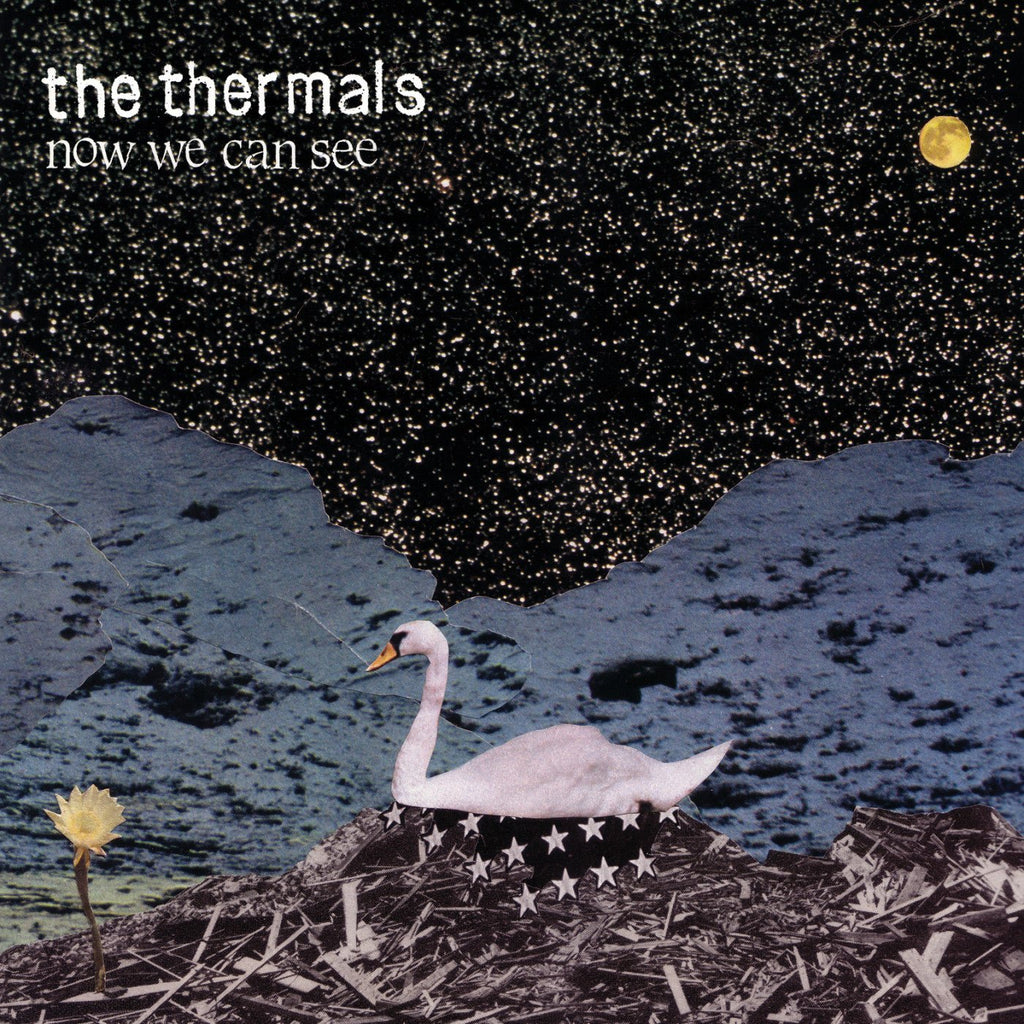 The Thermals - Now We Can See (New Vinyl LP) - Mad World Records