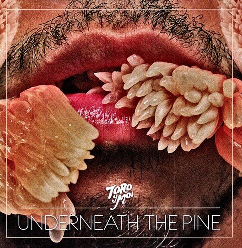 Toro y Moi - Underneath the Pine (New Vinyl LP) - Mad World Records