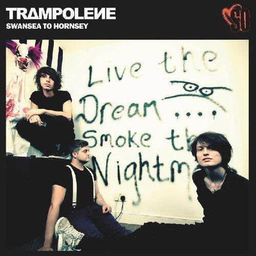 Trampolene - Swansea To Hornsey [Green Vinyl] (New Vinyl LP) - Mad World Records