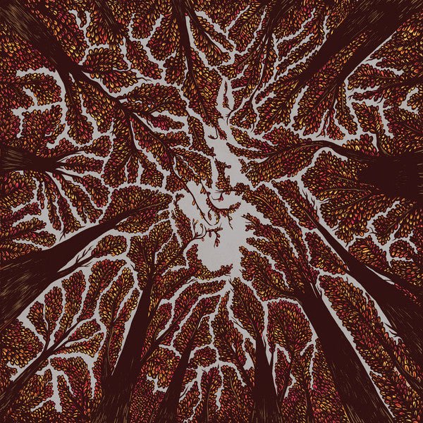 Trash Boat - Crown Shyness (New CD) - Mad World Records