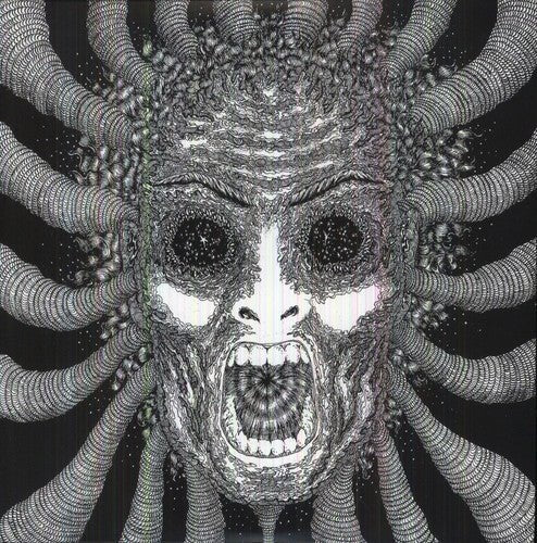 Ty Segall - Slaugherhouse (New Vinyl LP) - Mad World Records