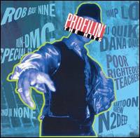 Various - Profilin' the Hits (Used CD) - Mad World Records