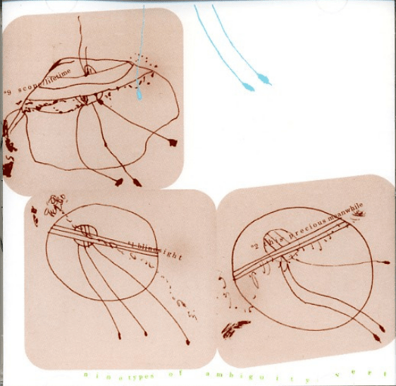 Vert - Nine Types of Ambiguity (Used CD) - Mad World Records