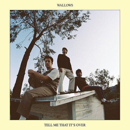 Wallows - Tell Me That It's Over (New CD) - Mad World Records