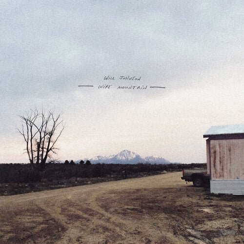 Will Johnson - Wire Mountain (New Vinyl LP) - Mad World Records