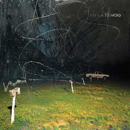 Yo La Tengo - This Stupid World (New CD) - Mad World Records