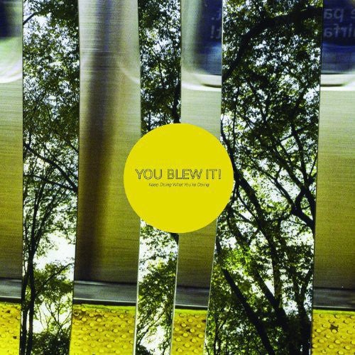 You Blew It! - Keep Doing What You're Doing (New Vinyl LP) - Mad World Records